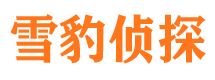 望城市婚外情调查